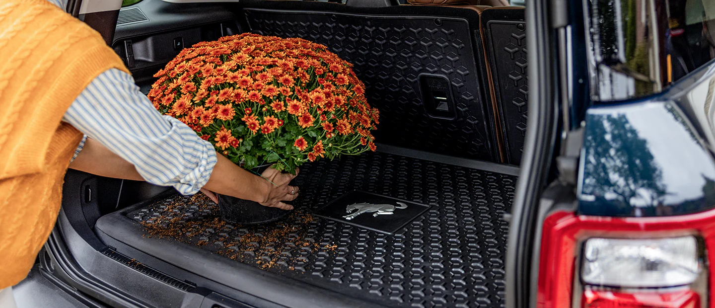 Stile Iconico Ford Italia